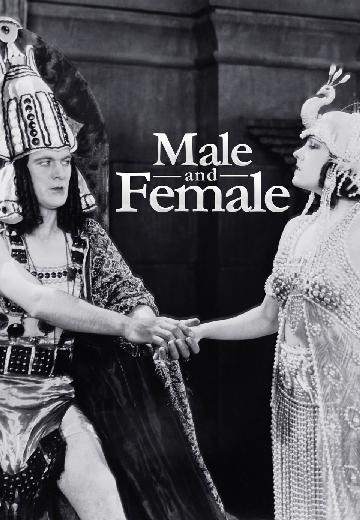 Male and Female poster