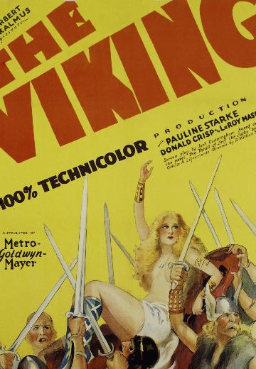 The Viking poster