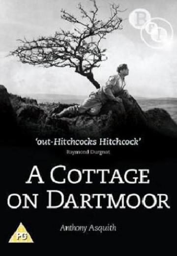 Escape from Dartmoor poster