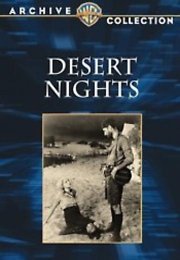 Desert Nights poster