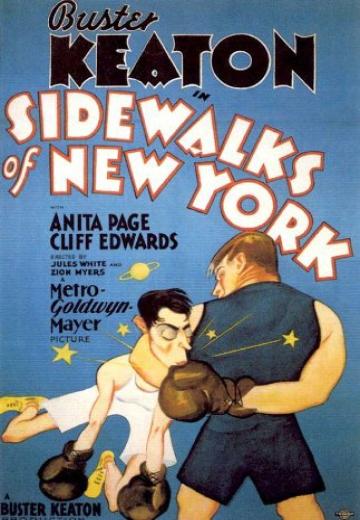 Sidewalks of New York poster