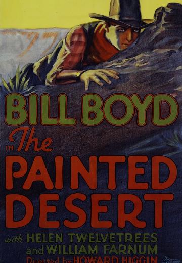 The Painted Desert poster