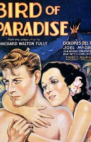 Bird of Paradise poster
