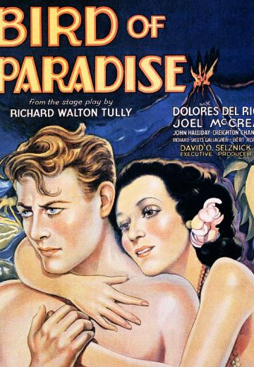 Bird of Paradise poster