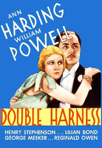 Double Harness poster