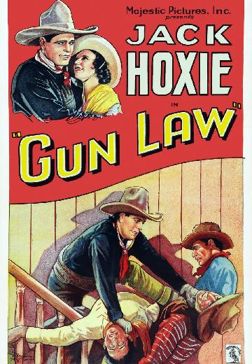 Gun Law poster