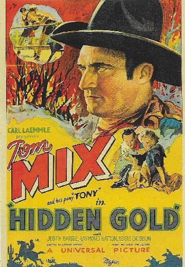 Hidden Gold poster