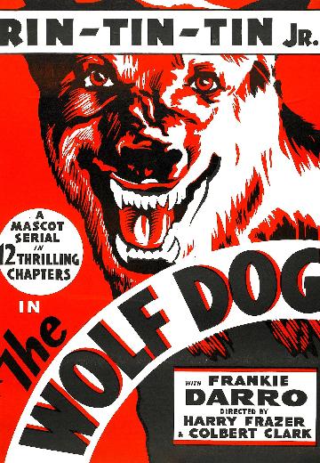 The Wolf Dog poster