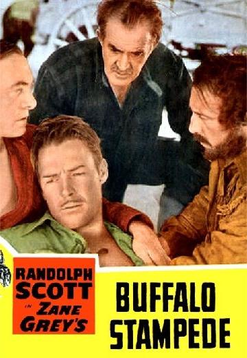 Buffalo Stampede poster