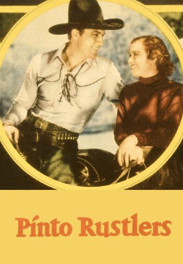 Pinto Rustlers poster
