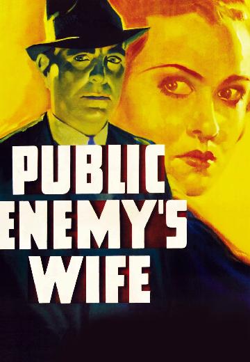 Public Enemy's Wife poster