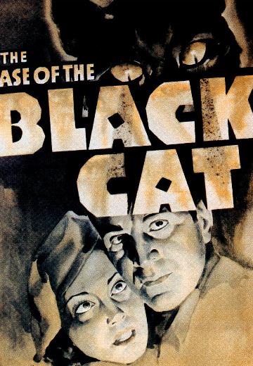 The Case of the Black Cat poster