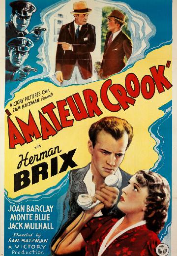 Amateur Crook poster