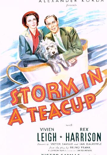 Storm in a Teacup poster