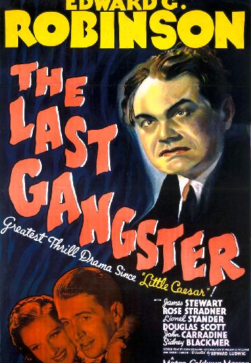 The Last Gangster poster