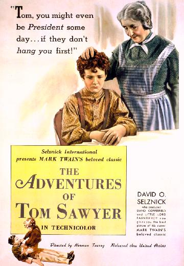 The Adventures of Tom Sawyer poster