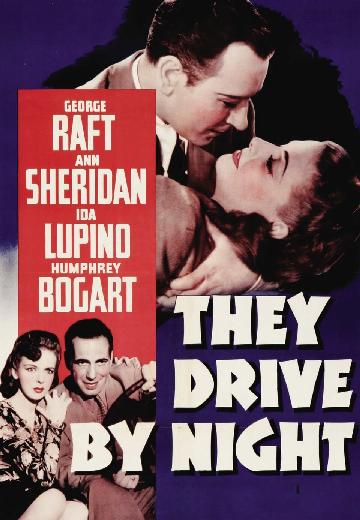 They Drive by Night poster