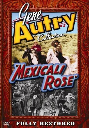 Mexicali Rose poster