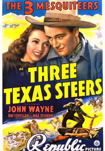 Three Texas Steers poster