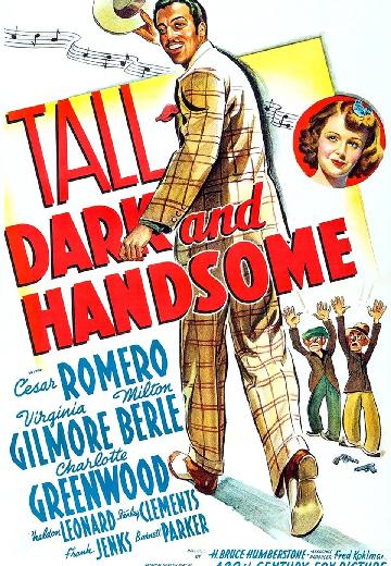 Tall, Dark and Handsome poster