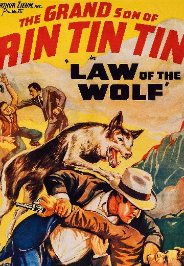 Law of the Wolf poster
