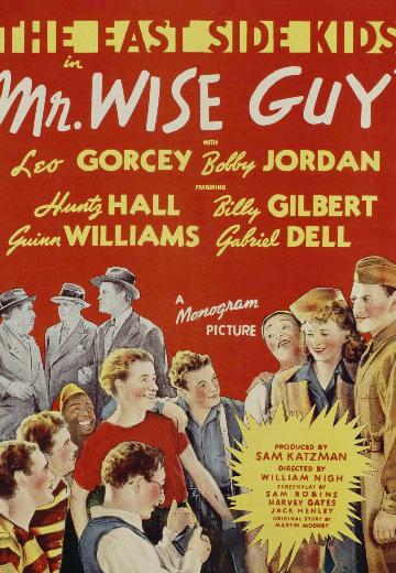 Mr. Wise Guy poster