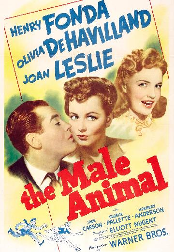 The Male Animal poster