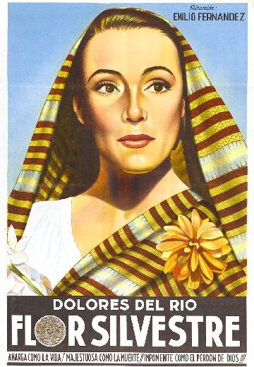 Flor Silvestre poster