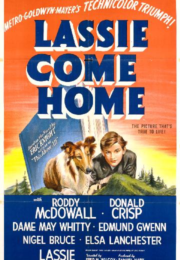 Lassie Come Home poster