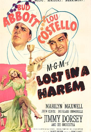 Lost in a Harem poster