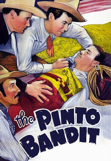 The Pinto Bandit poster