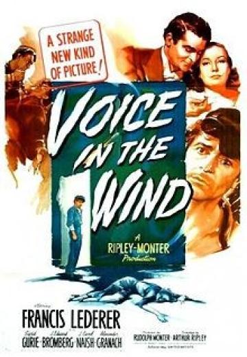 Voice in the Wind poster