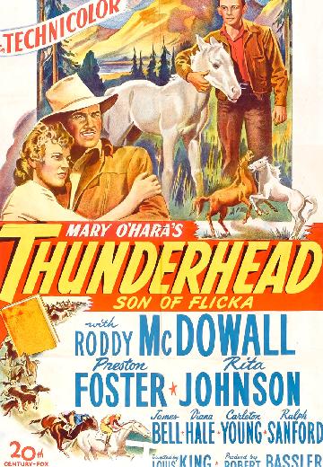 Thunderhead: Son of Flicka poster