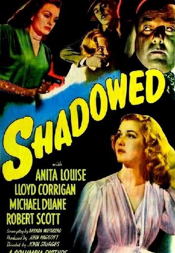 Shadowed poster