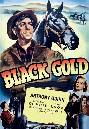 Black Gold poster