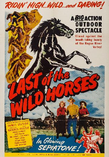 Last of the Wild Horses poster