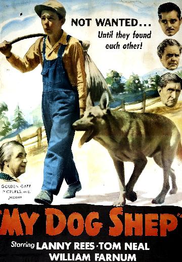 My Dog Shep poster