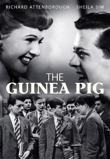 The Guinea Pig poster