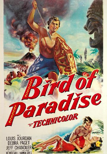 Bird of Paradise poster