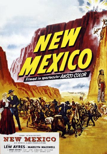 New Mexico poster