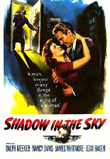 Shadow in the Sky poster