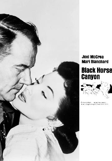 Black Horse Canyon poster