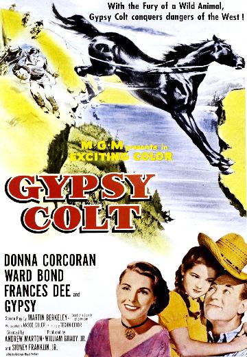 Gypsy Colt poster