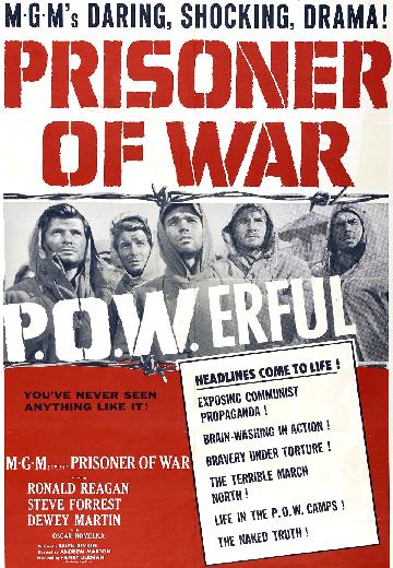 Prisoner of War poster