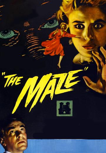 The Maze poster