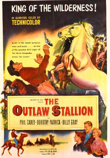 The Outlaw Stallion poster