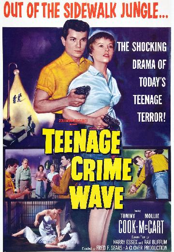 Teen-age Crime Wave poster