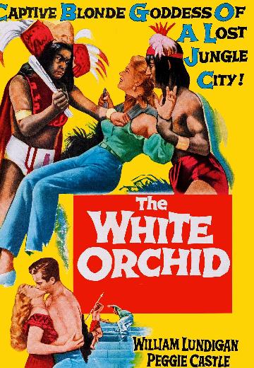 The White Orchid poster