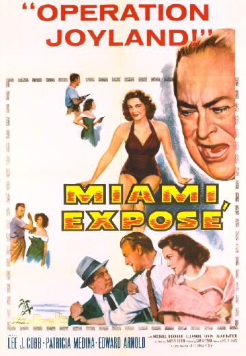 Miami Expose poster