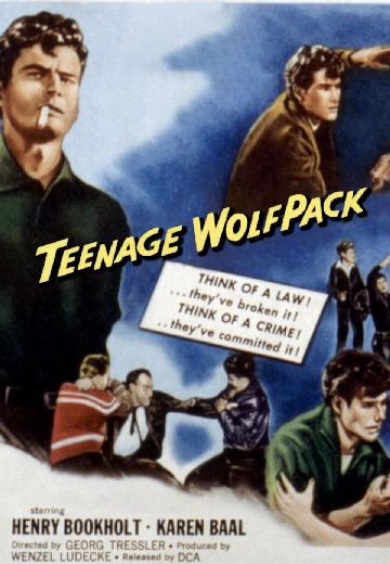 Teenage Wolfpack poster